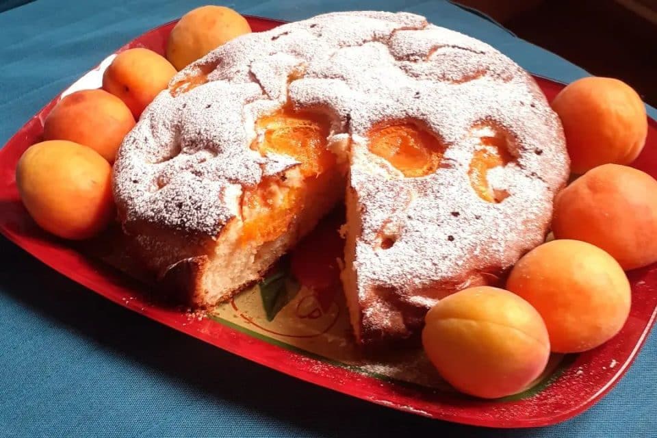 Aprikosenkuchen 