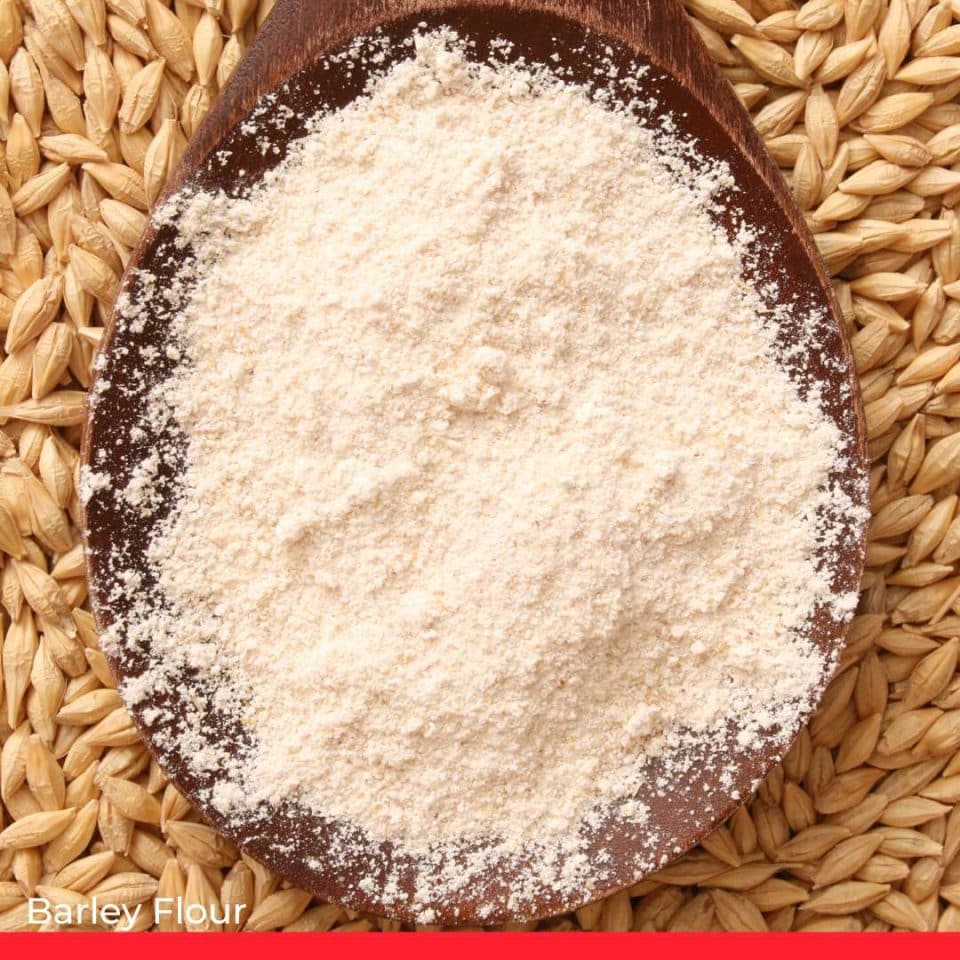 Barley Flour