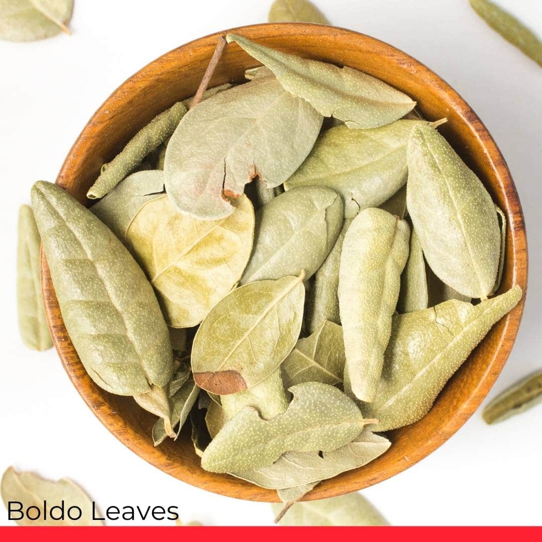 Boldo Leaves