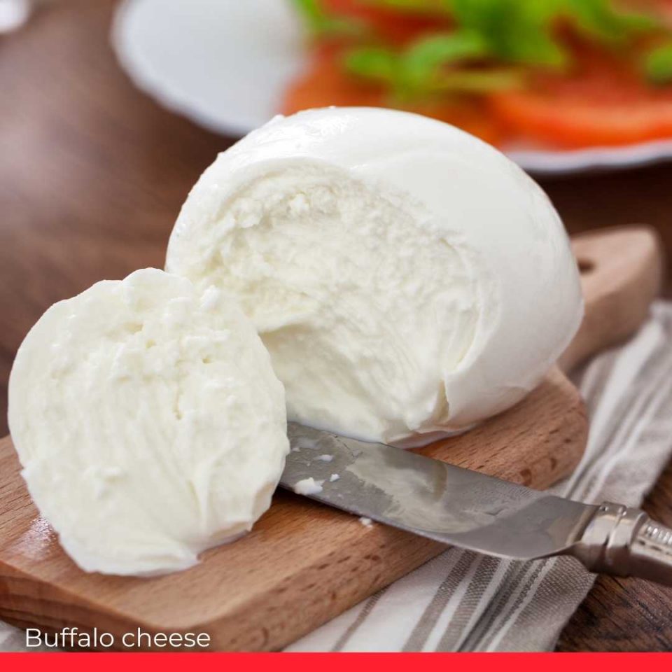 Buffalo cheese