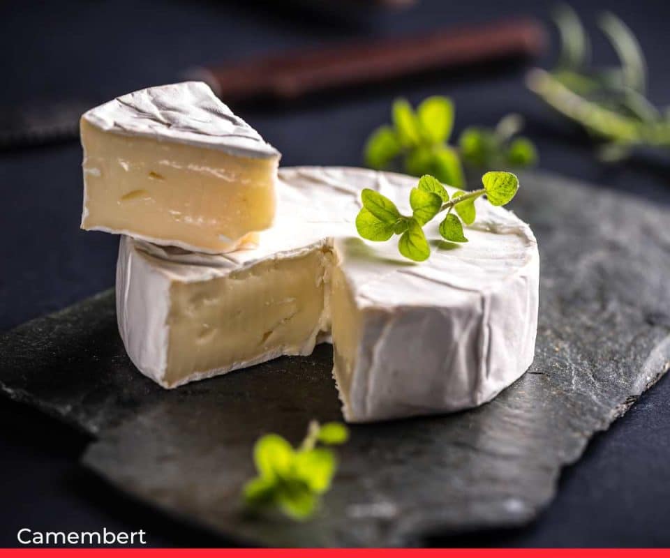 Camembert