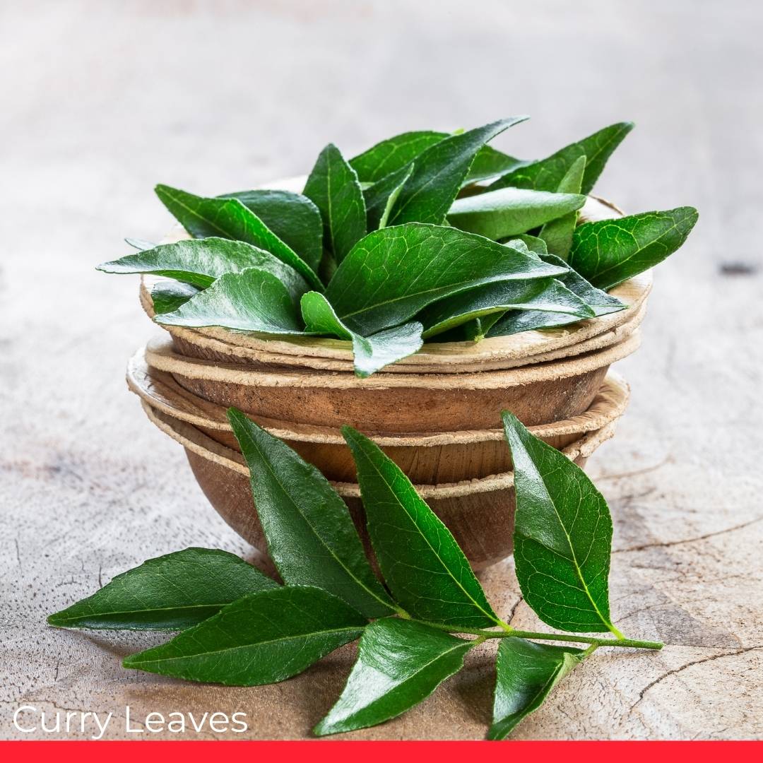 Curry Leaves