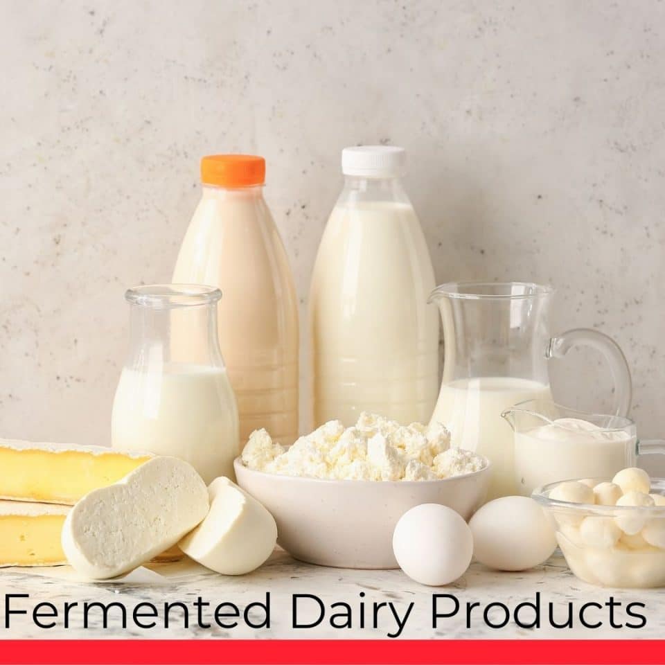 Fermented Dairy Products