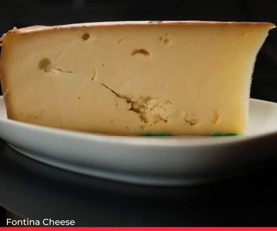 Fontina Cheese