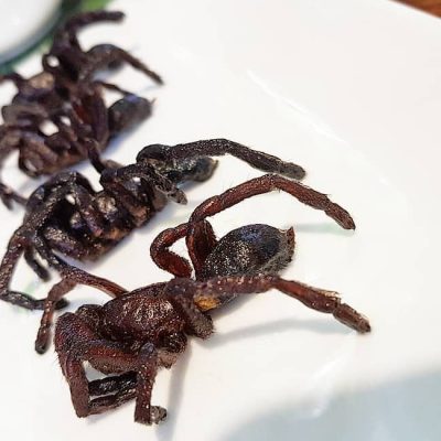 Fried Tarantula