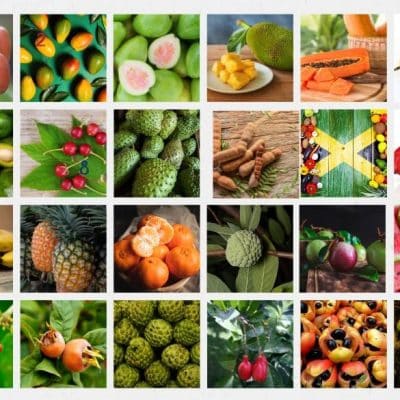 List of Jamaican Fruits