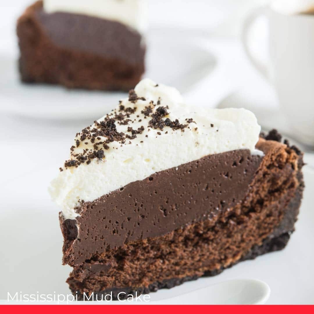 Mississippi Mud Cake