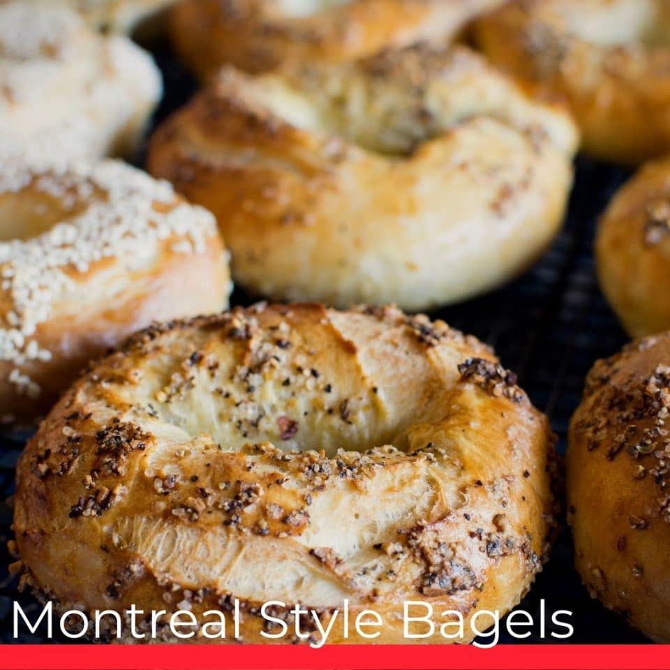 Montreal Style Bagels