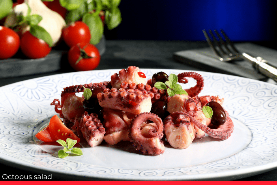 octopus