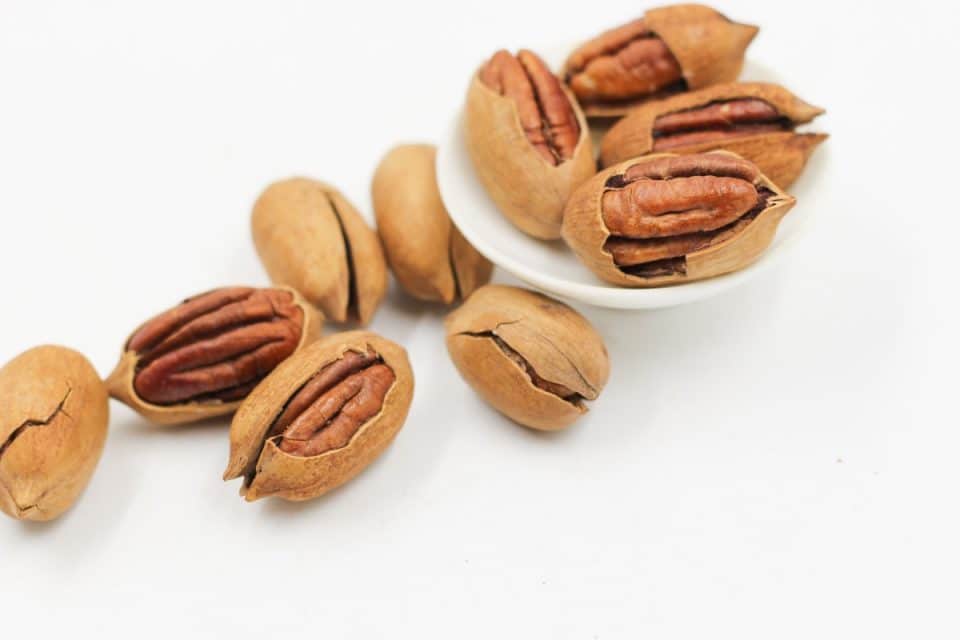 Pecan Nuts