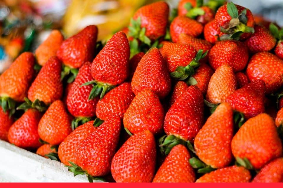 Quinault Strawberry