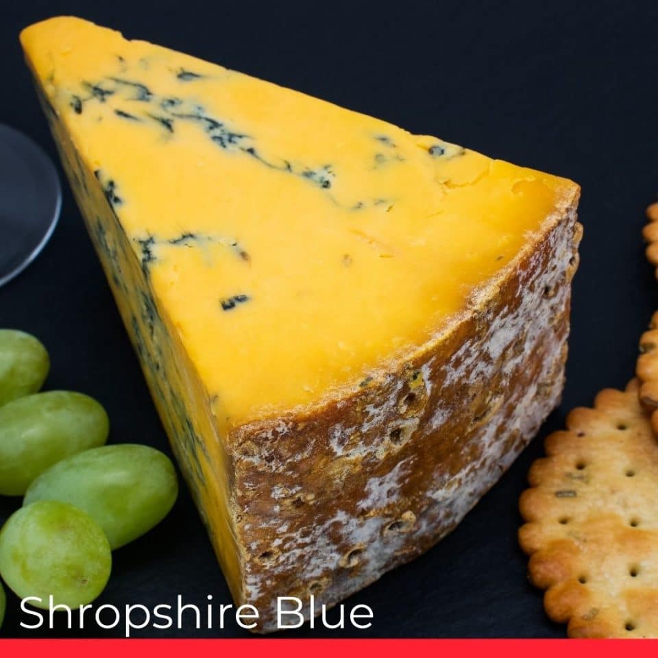 Shropshire Blue