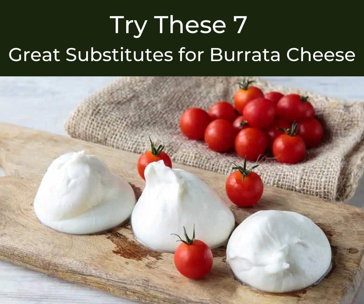 Burrata Cheese