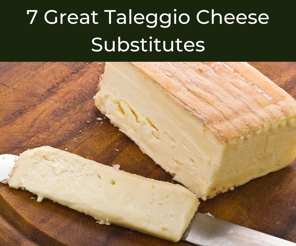 Taleggio Cheese