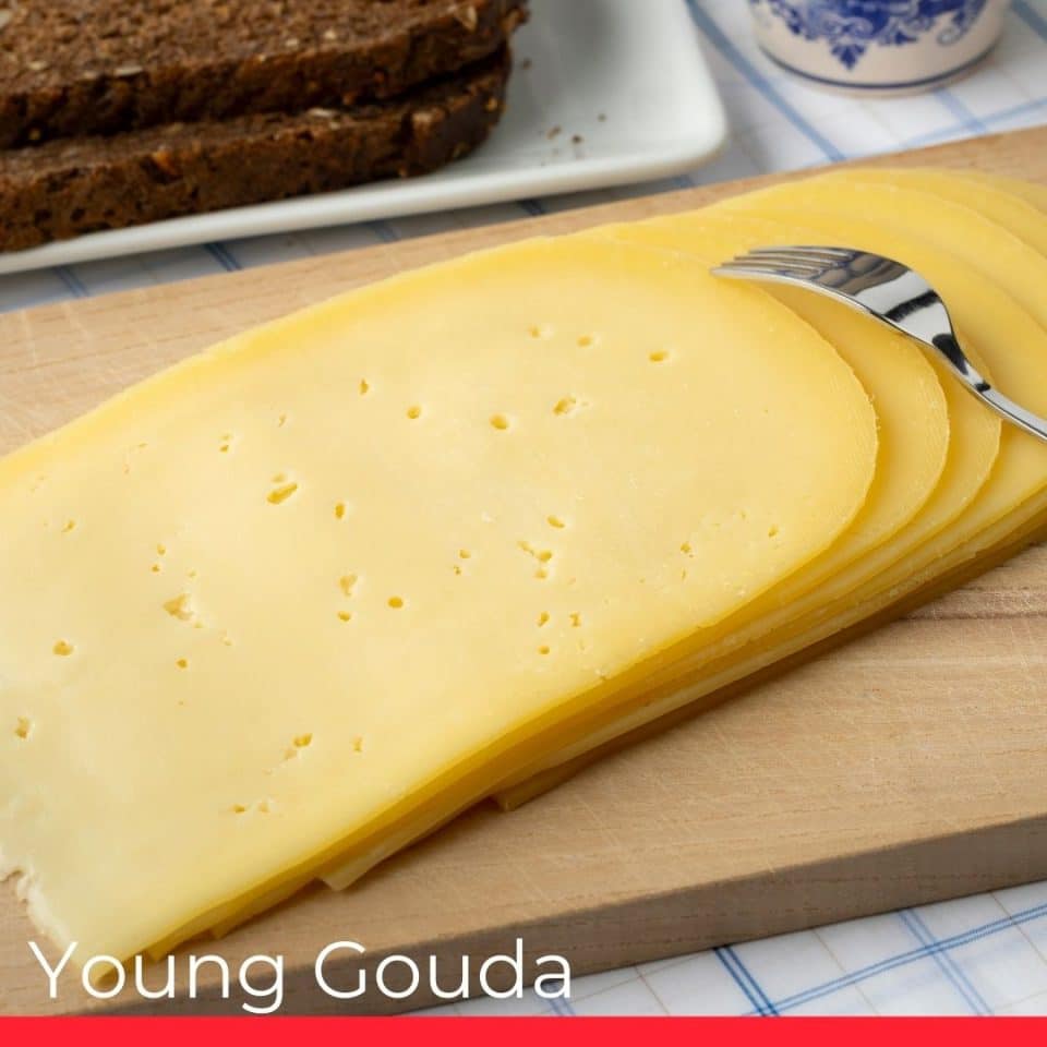 Young Gouda