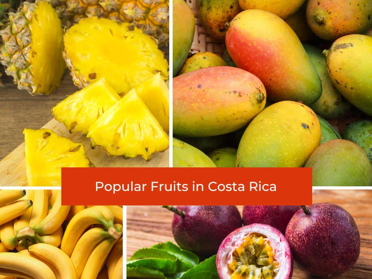 Costa Rican Fruits