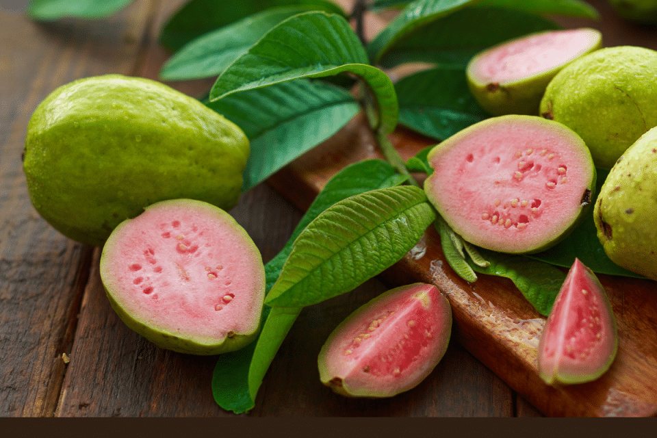 Guava