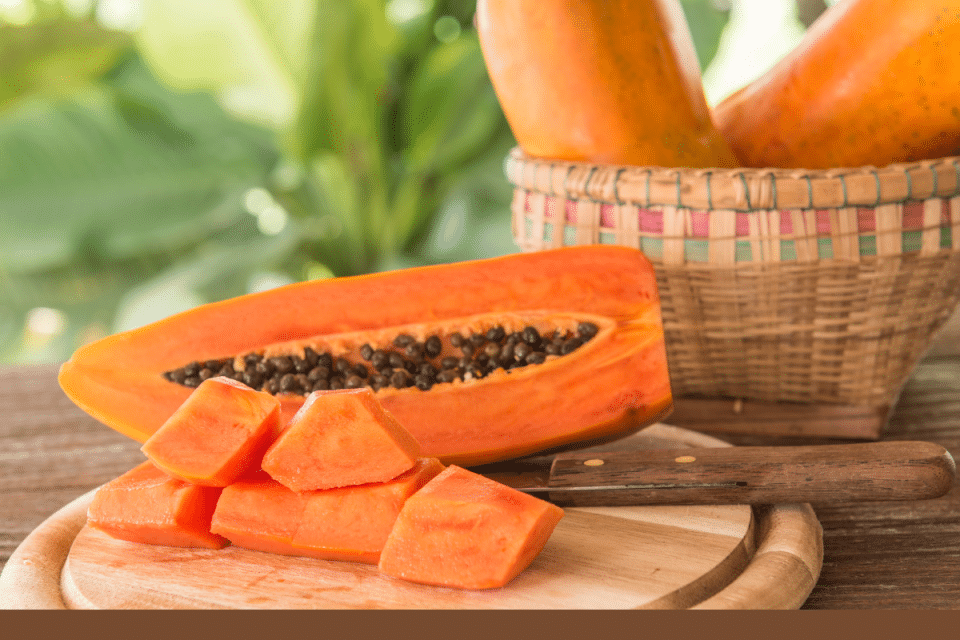 papaya