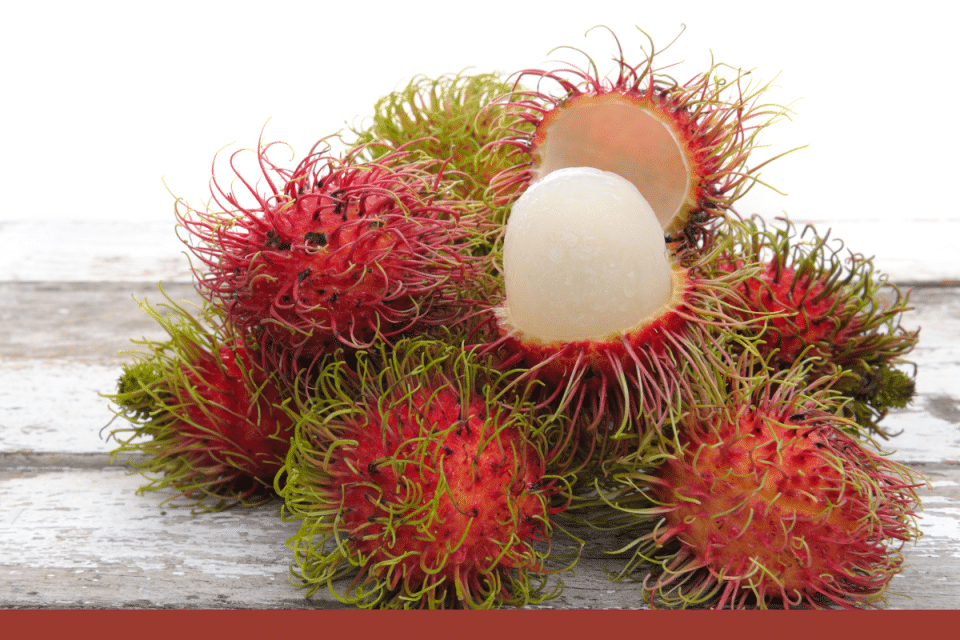 rambutan